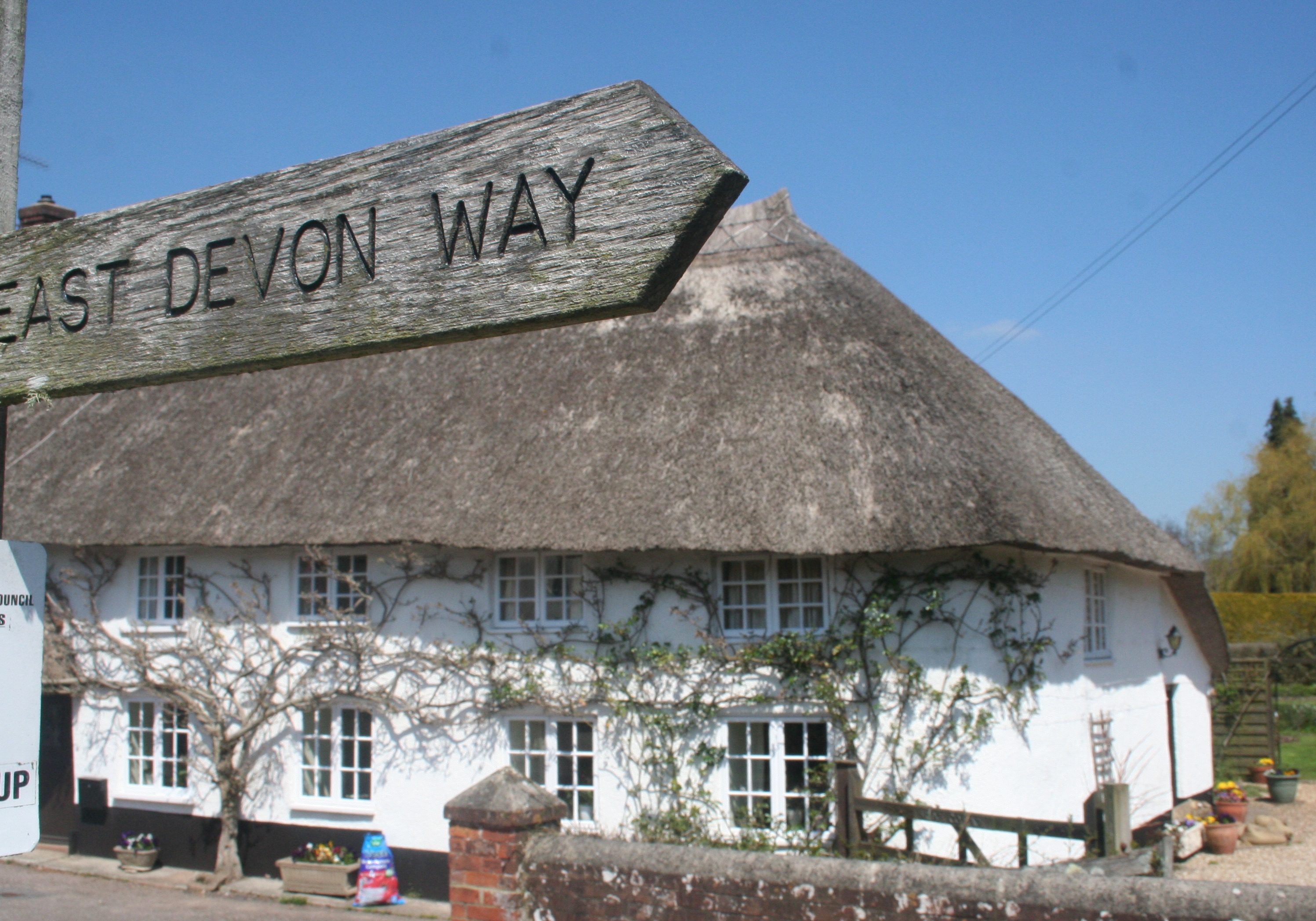 Gallery | East Devon Way